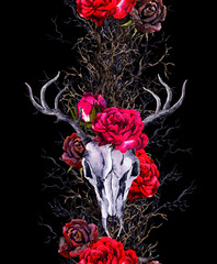 Wall Mural - Deer animal skulls with rose flowers, branches. Seamless border frame. Watercolor