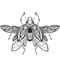 Wall Mural - Beetle bug tattoo drawing. Scarab bug illustration