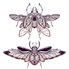 Wall Mural - Beetle bug tattoo drawing. Scarab bug illustration