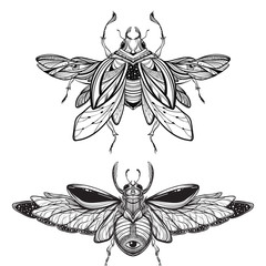 Wall Mural - Beetle bug tattoo drawing. Scarab bug illustration