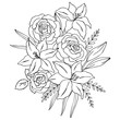 vector contour illustration of lily rose flowers