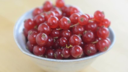 Wall Mural - freshly picked organic redcurrant laid in a ceramic dish on an old authentic wooden painted table room for copy space