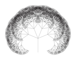 Wall Mural - flat vector computer generated l-system fractal tree - generative art