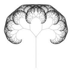 Wall Mural - flat vector computer generated l-system fractal tree - generative art