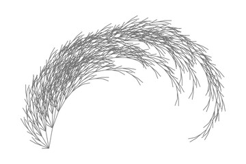Wall Mural - flat vector computer generated l-system branching fractal - generative art