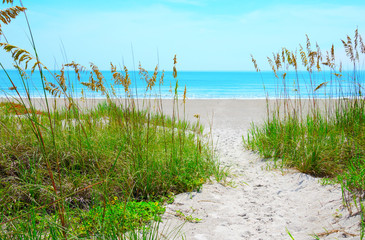 Sandy sand path through tropical sea oats down to a beautiful calm blue ocean beach on a sunny afternoon.