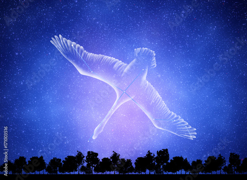 白鳥座 Stock イラスト Adobe Stock 白鳥座 Stock イラスト Adobe Stock
