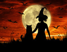 The Witch With Her Cat Are Sitting Under The Moon.