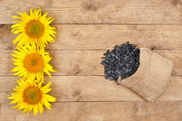 Wall Mural - scattered sunflower seeds top view