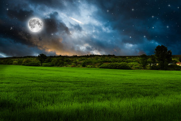 Wall Mural - green field