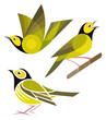 Stylized Birds - Hooded Warbler