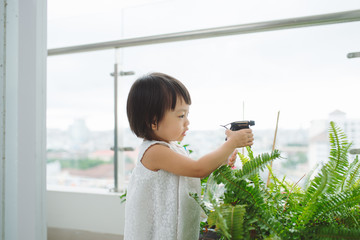 Wall Mural - Child taking care of plants. Cute little girl watering first spring flowers