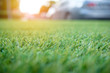green grass background, artificial grass field for decoration at carpark with sunlight effect, shallow depth of field