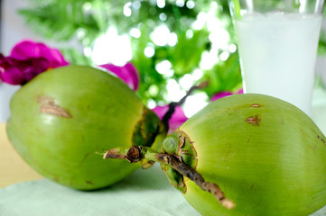 Poster - Coconut juice