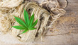 Marijuana leafs on top of hemp fibers