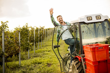 Handsome young man working in the vineyard