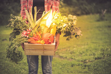 Casual Hipster Woman Holding Farm Fresh Garden Harvest