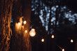 Leinwandbild Motiv Lamp decoration in forest. Elements of the wedding decor in evening ceremony.