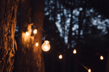 Lamp decoration in forest. Elements of the wedding decor in evening ceremony.