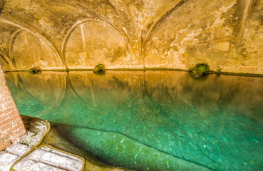 Wall Mural - Fountain of Fontebranda in Siena