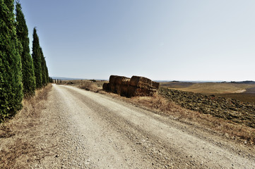 Canvas Print - Tuscany landscape after harvest