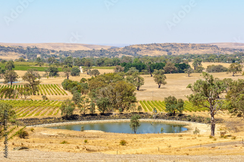Fotografering Summer in the Barossa Valley - SA, Australia