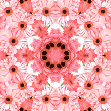 Pink Flowers Gerbera In The Form Of A Picture Of A Kaleidoscope