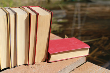 Wall Mural - books standing on a table