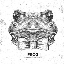 Hipster Animal Frog. Hand Drawing Muzzle Of Frog