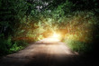 © 1xpert - Sunrise beautiful road in forest