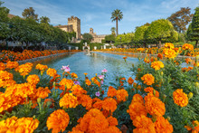 Blooming Gardens And Fountains Of Alcazar De Los Reyes Cristianos, Royal Palace Of The Cristian Kings, In Cordoba, Andalusia, Spain
