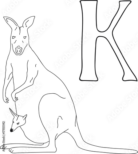 Black And White Coloring Page Kangaroo - Coloring and Drawing