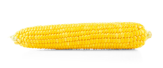 Poster - Fresh corn cob, isolated on white