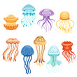 Colorful jellyfish set, swimming marine creatures watercolor vector Illustrations