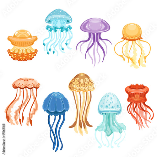 Colorful jellyfish set, swimming marine creatures watercolor vector Illustration Tableau sur Toile