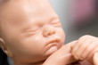 © sinhyu - Embryo model, fetus for classroom education.