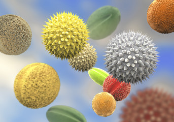 Pollen grains from different plants, 3D illustration. They are factors causing hay fever and allergic rhinitis