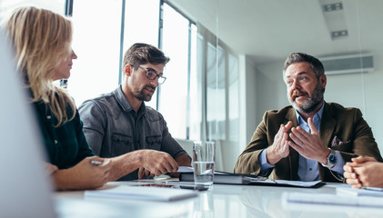 Wall Mural - Team of business professionals having a meeting