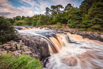 Poster - River Tees cascades over Low Force / The River Tees cascades over the Whin Sill at Low Force Waterfall, as the Pennine Way follows the southern riverbank