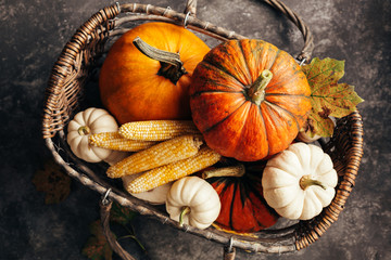 Wall Mural - pumpkins and corn in the basket