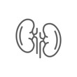 Simple kidneys line icon. Symbol and sign vector illustration design. Editable Stroke. Isolated on white background