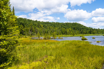 Green Sky Blue Lake