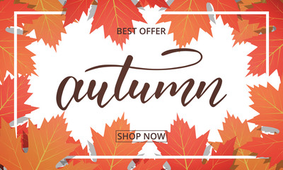 Wall Mural - autumn sale banner . background with maple leaves frame and trendy autumn brush lettering. seasonal 