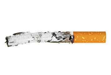 Wall Mural - Smoked cigarette with ash on a white background