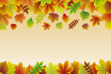 Wall Mural - background with colourful autumnal leaves. vector.