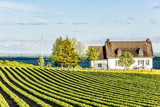 Landscape view of farm in Ile D'Orleans, Quebec, Canada with green rows of plants at field with house and wooden fence