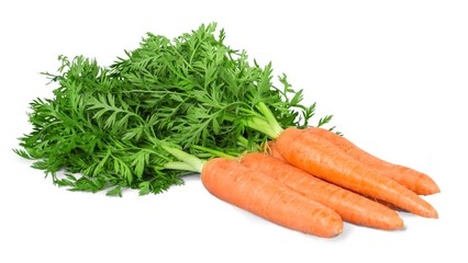 Poster - Carrot.