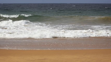 Wall Mural - Gentle waves break over the Sand at a Hikkaduwa Beach