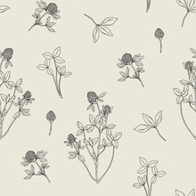 Beautiful Floral Seamless Pattern With Red Clover On Light Background. Meadow Flowers And Leaves Hand Drawn In Retro Style. Vector Black And White Illustration.