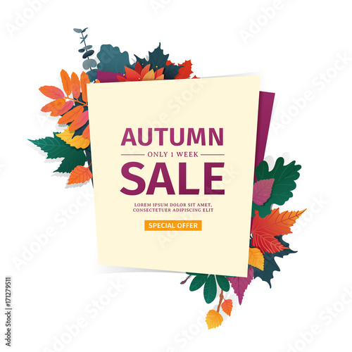 Design Banner With Autumn Sale Logo Discount Card For Fall Season